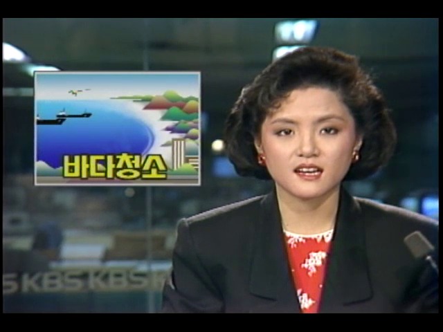 충청남도 태안 앞바다 청소