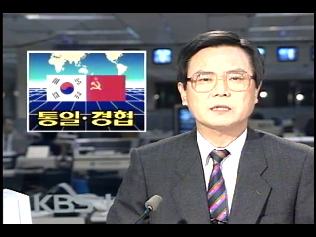 한국·소련 정상회담 양국 입장