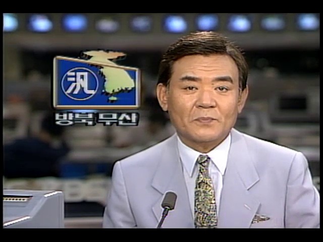 8.15 범민족대회 참가자 북한 방문 무산