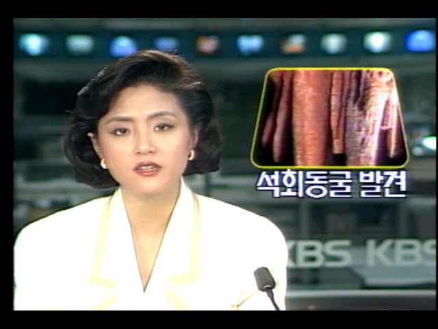 강원도 동해시 천곡동 석회석 동굴발견