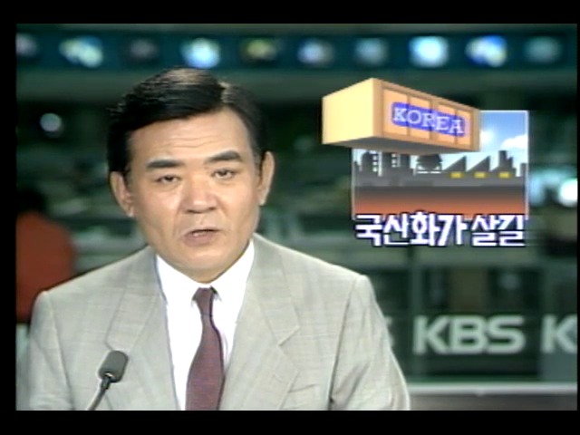 기술국산화 실태