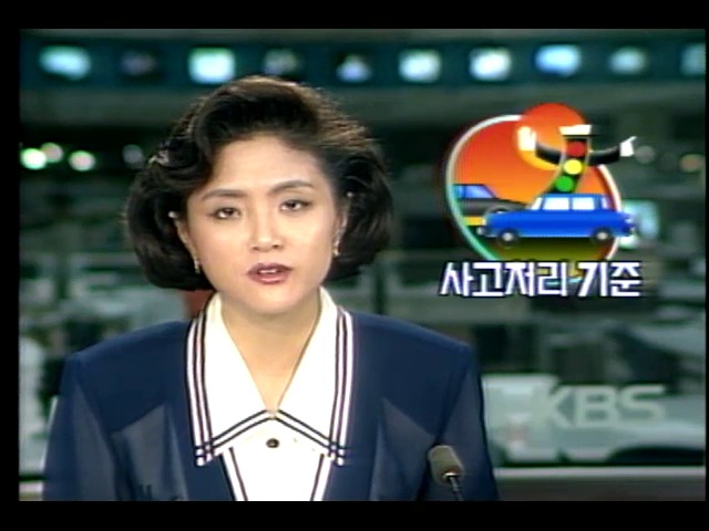 유형별 교통사고 처리기준 발표