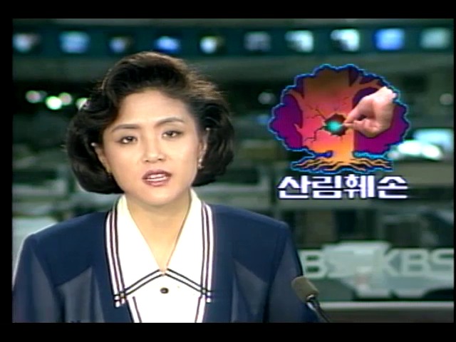 군포시 산림훼손 현장