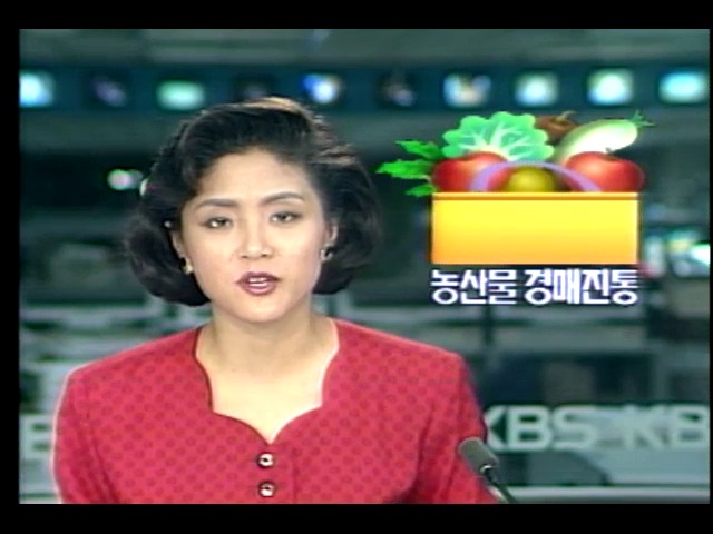 농산물 경매 진통 외 2건