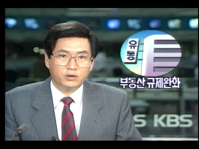 유통산업근대화 방안