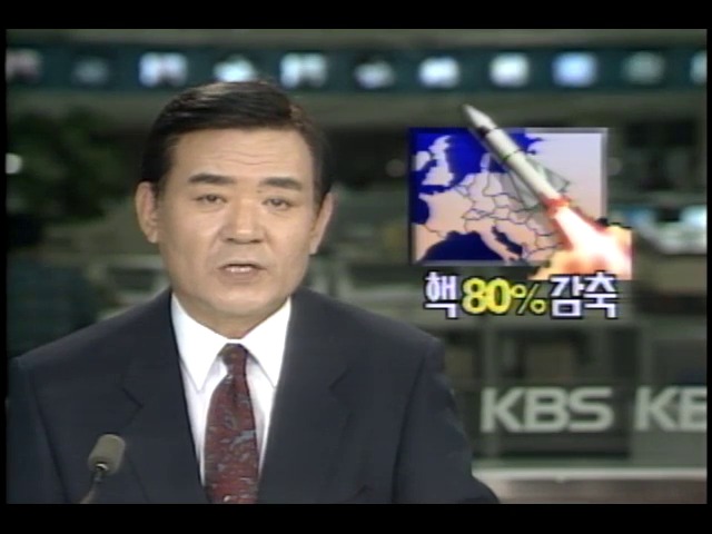 NATO 북대서양 조약기구 보유 핵무기 80% 감축