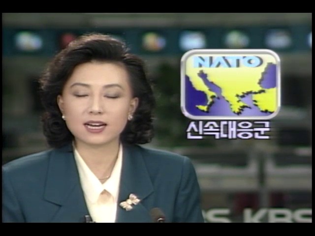 북대서양조약기구, 1995년 신속대응군 신설