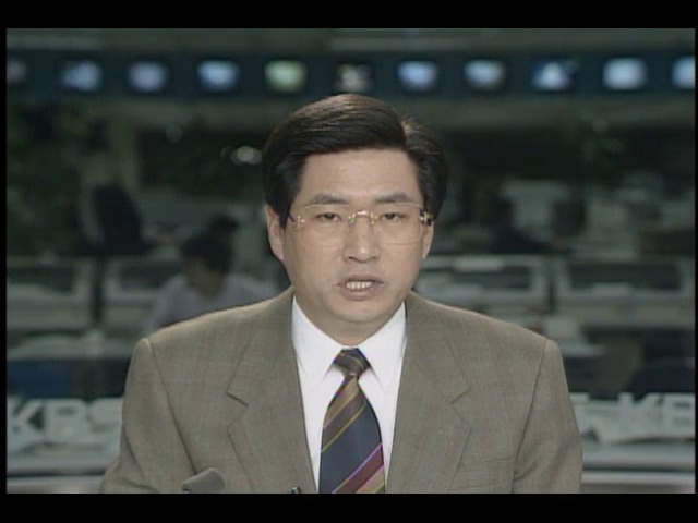 체니 미국 국방부장관 북한 선박 화물수색 
