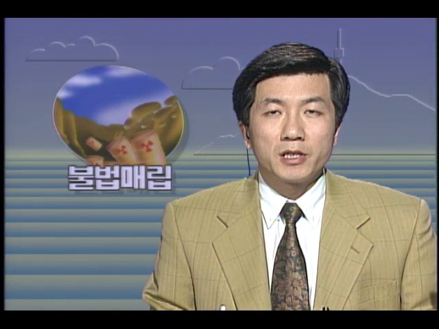 불법 매립