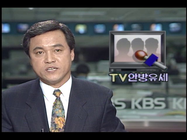 TV 안방 유세 