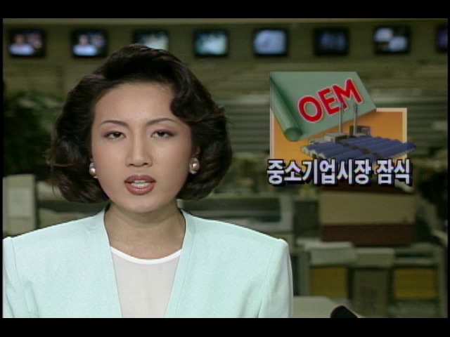 일부 대기업 OEM 방식 이용해 중소기업 시장 잠식