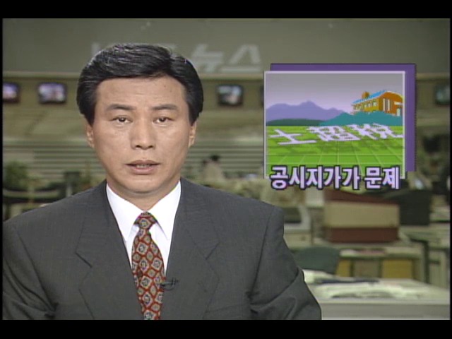 토지초과이득세의 공시지가 산정 문제