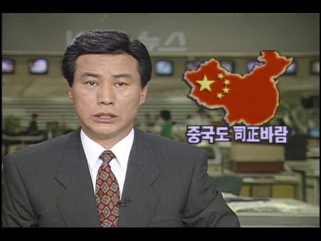 중국 부정부패 문제 권력 투쟁으로