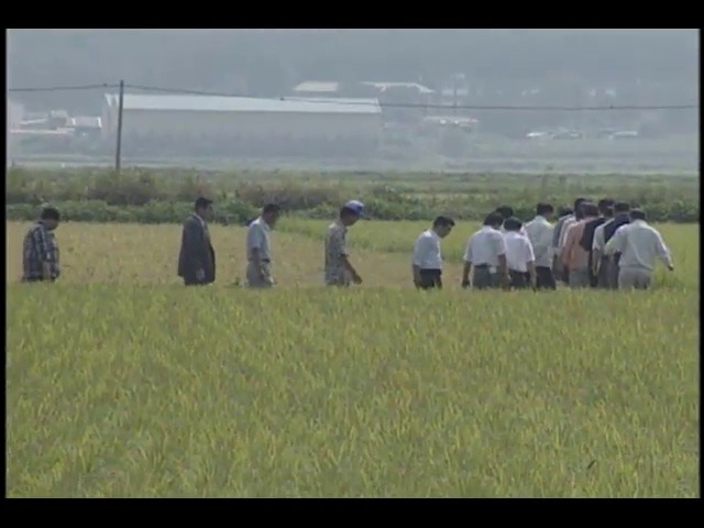 민주당 이기택 대표와 민주당 위원들, 강화군 망월평야 방문해 냉해 실태파악