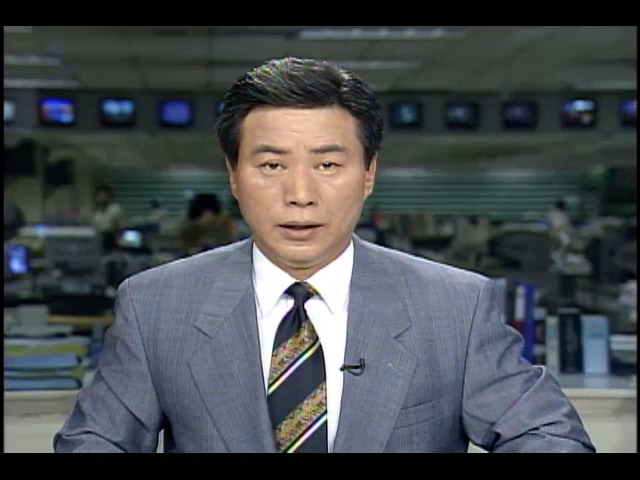 신민당, 김일성 조문 반대 성명