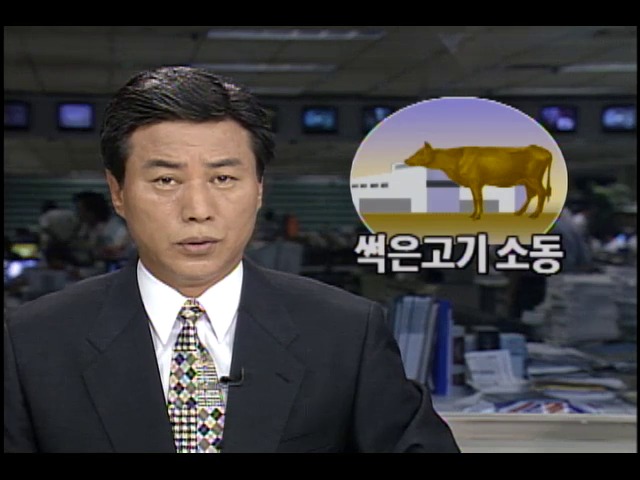 [현장추적 781-1234] 썩은 고기 소동