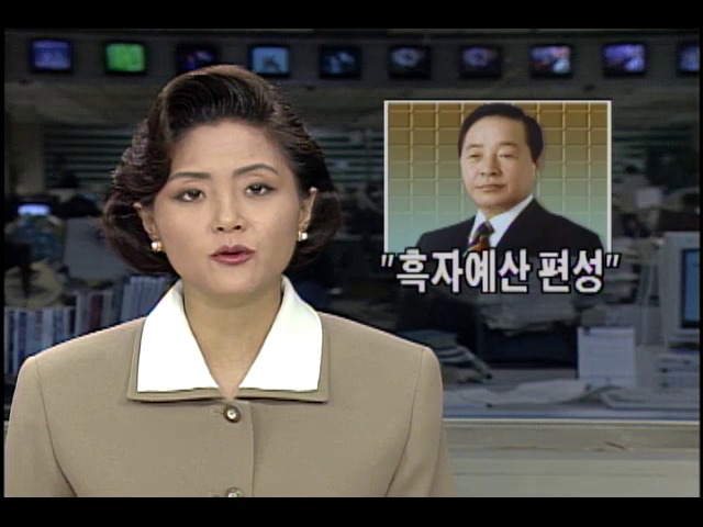 김영삼 대통령, "새해 예산안 흑자 예산 편성"