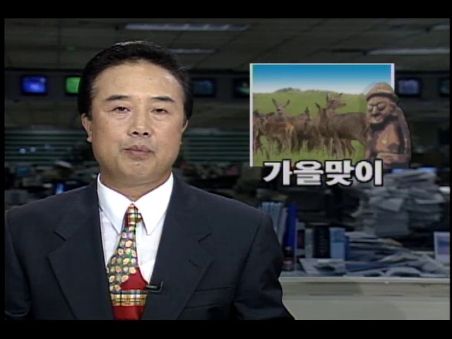 제주도 가을맞이...겨우살이 준비도 한창