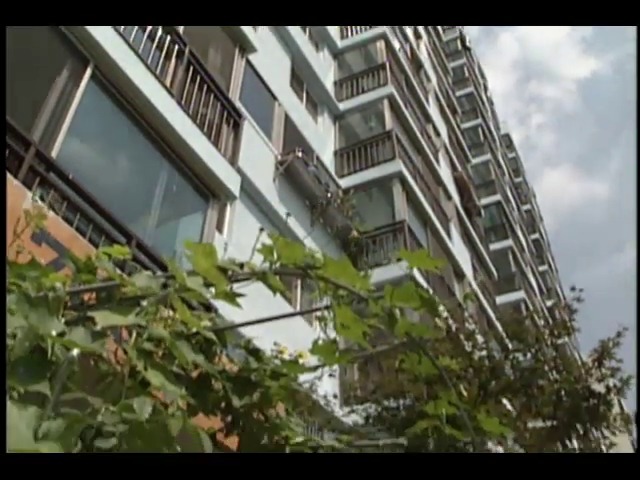 [영상취재] 아파트의 가을