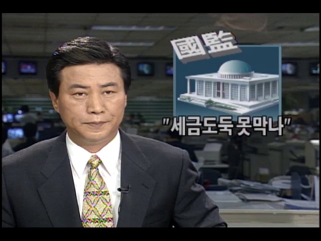 세금도둑 못 막나...정기국회 국정감사 끝나