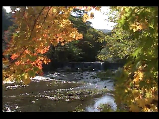 [영상취재] 깊어가는 가을