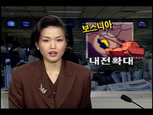보스니아 내전 확대...나토 공군기 공습