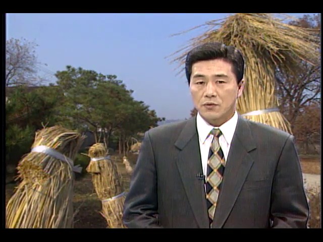 기상정보
