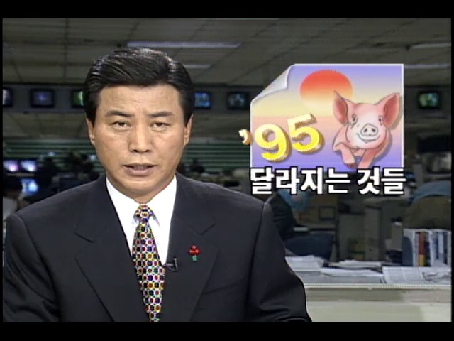 1995년 새해에 달라지는 것들