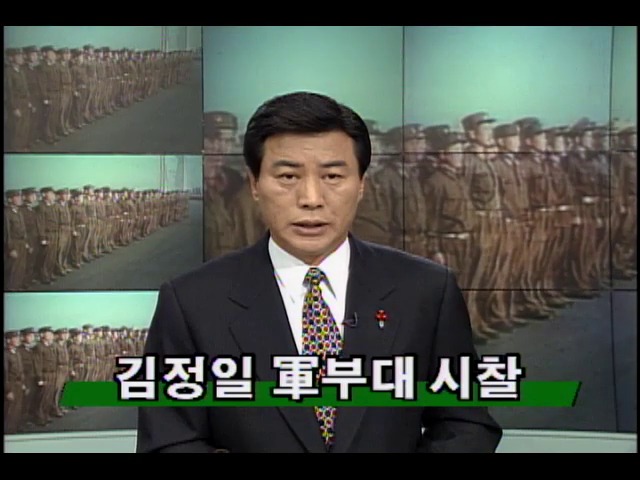 북한 김정일 군부대 시찰