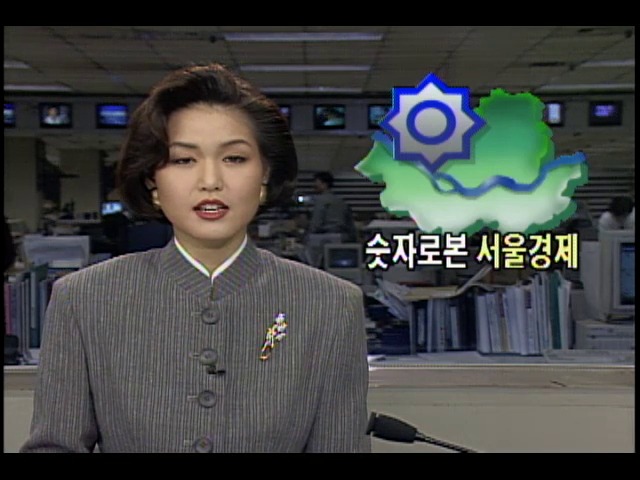 숫자로 본 1994년 서울 경제
