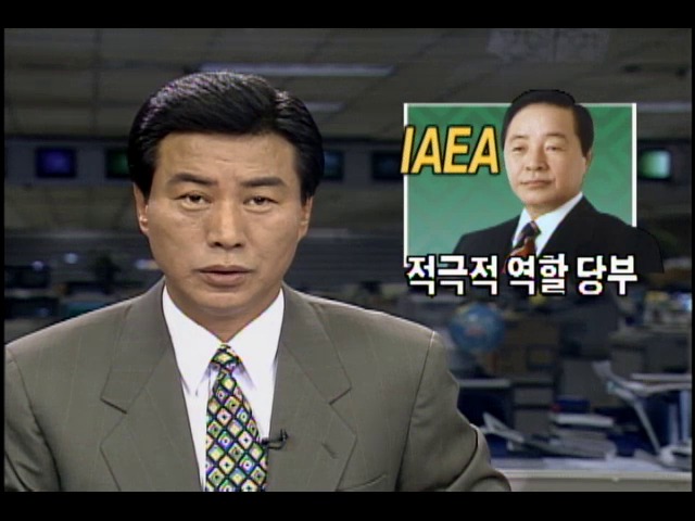 김영삼 대통령, IAEA 적극적 역할 당부