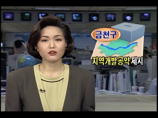 [1995 지방선거] 서울 금천구, 지역개발공약 제시