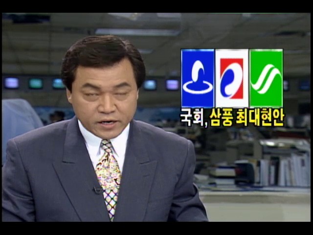 국회, 삼풍백화점 붕괴사고 최대현안