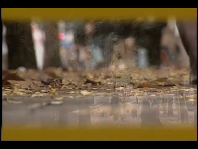 [영상취재] 가을풍경