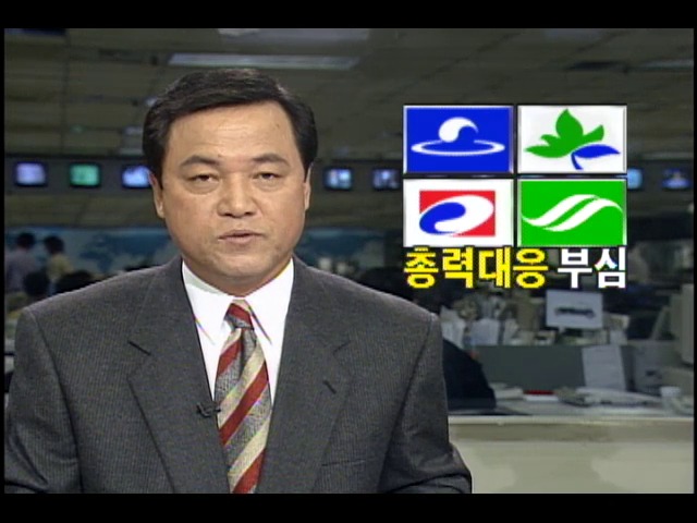 정치권, 비자금 수사 총력대응 부심