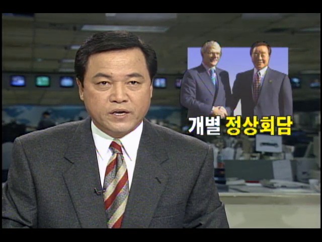김영삼 대통령, 개별 정상회담
