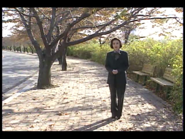 기상정보