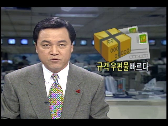 규격 우편물 배달 빠르다