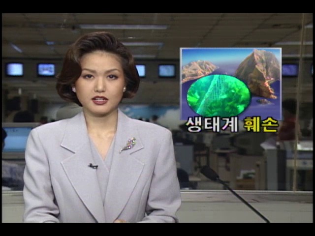 독도 주변 바다의 생태계 파괴 현장
