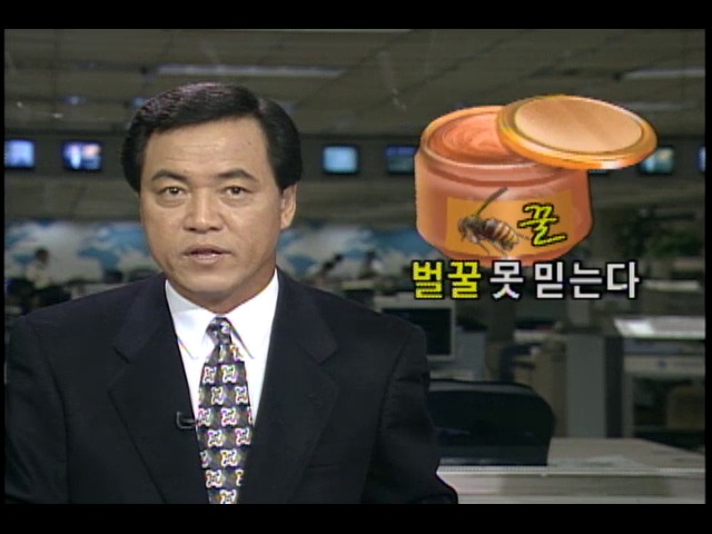 시중 유통 벌꿀 못 믿는다