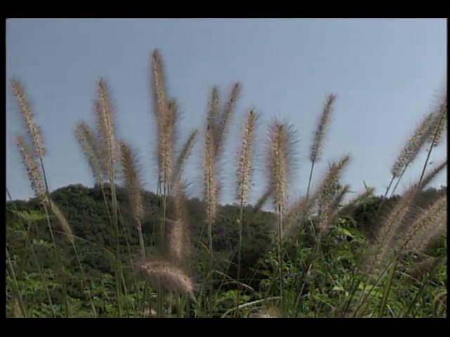 영상취재; 경기도 문산