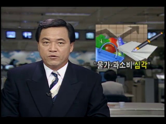 경제를 살립시다:  물가.과소비 심각