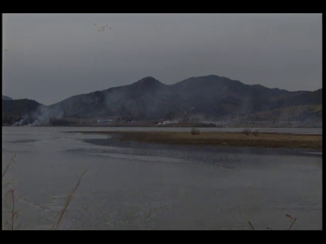 주남저수지 갈대밭 방화사건 수사하고 있는 창원경찰서는 이 마을 주민 여덟명을 방화혐의로 입건