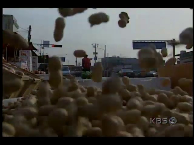 영상취재 부럼; 쏟아져 쌓이는 땅콩 밤 호두  #정월대보름