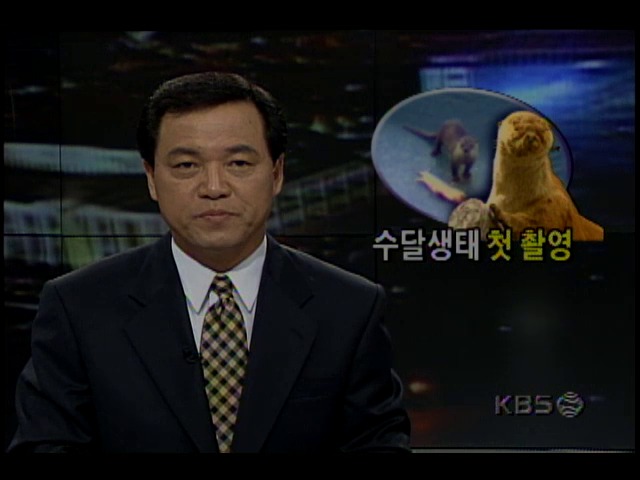 KBS자연다큐멘터리팀, 수달 야생생태 취재 성공