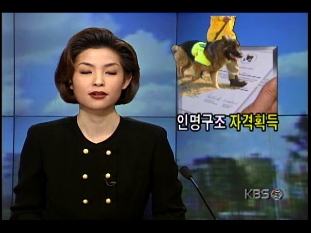 까다로운 국제심사 통과한 인명구조견 3마리 현장투입