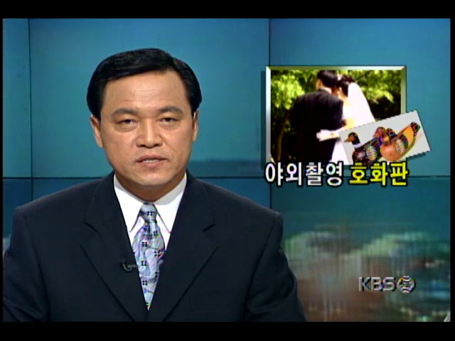 호화판 결혼전 야외촬영 성행