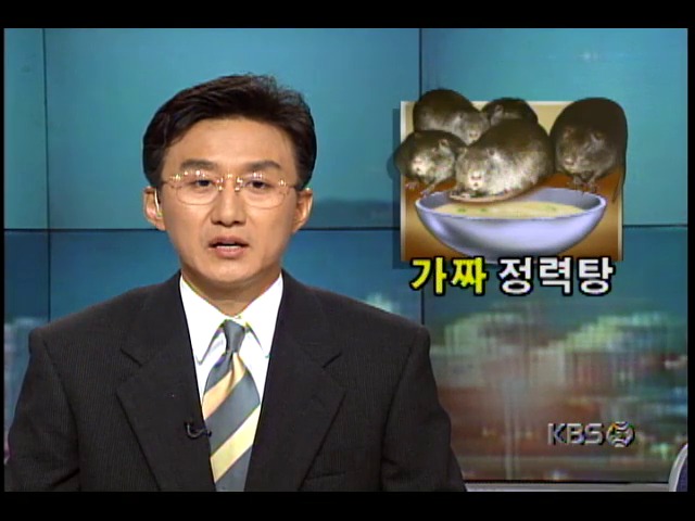 현장추적 781-1234; 수달, 박제나 정력식품 등으로 멸종 위기