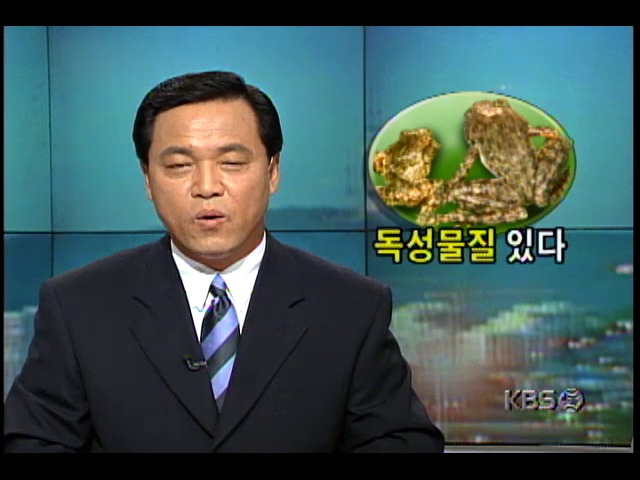 옴개구리 피부의 치명적인 독성물질 확인