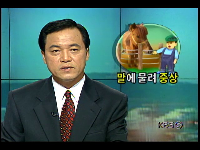 경기 천 서울대공원 소풍갔던 유치원생, 말에게 먹이주다 얼굴 물려 중상